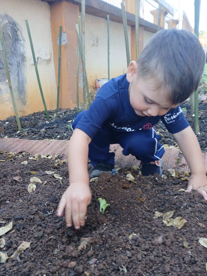 Criança plantando muda na horta da escola